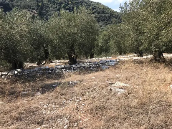 Land In Corfu, Greece