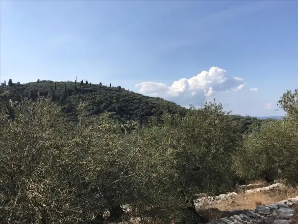Land In Corfu, Greece