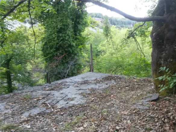 Land In Litochoro, Greece