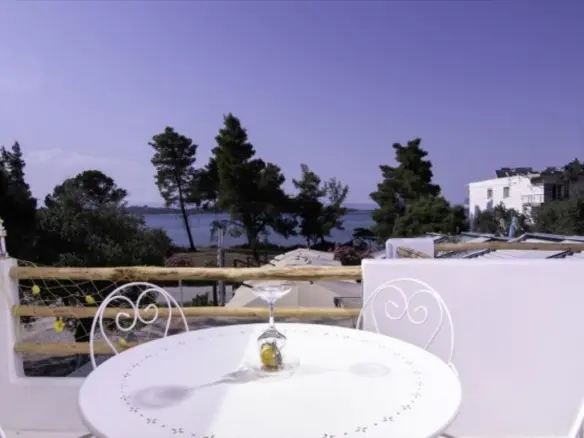 Business In Sithonia, Greece (240 M²)
