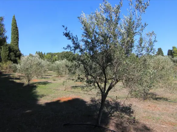 Land In Corfu, Greece