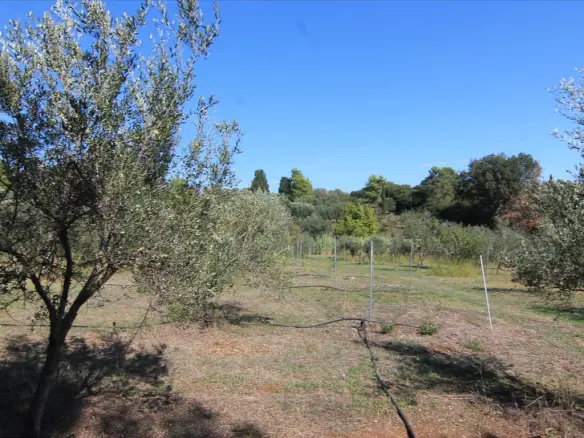 Land In Corfu, Greece