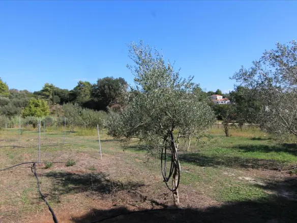 Land In Corfu, Greece