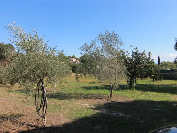 Land In Corfu, Greece
