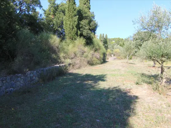 Land In Corfu, Greece