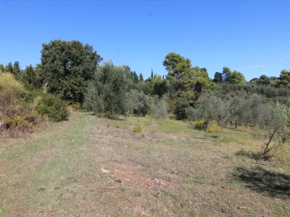 Land In Corfu, Greece