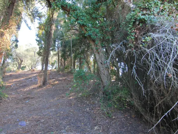 Land In Corfu, Greece