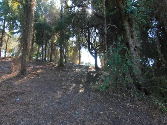 Land In Corfu, Greece