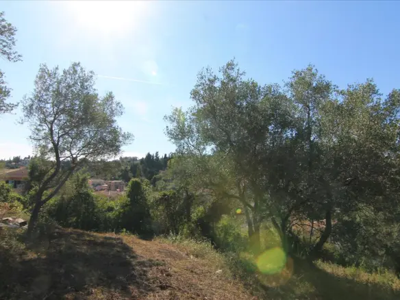 Land In Corfu, Greece