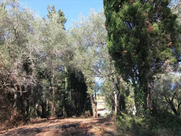 Land In Corfu, Greece