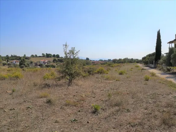 Land In Poligiros, Greece