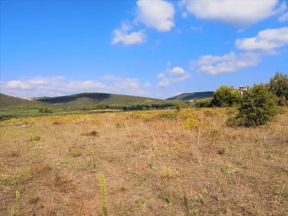 Land In Poligiros, Greece