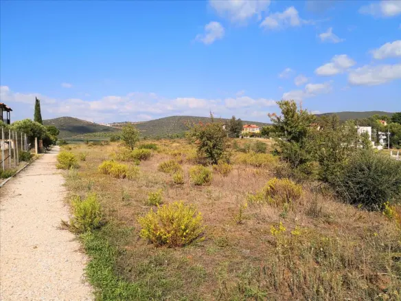 Land In Poligiros, Greece