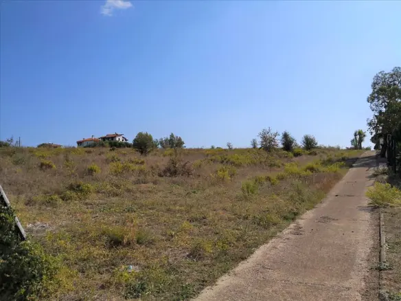 Land In Poligiros, Greece