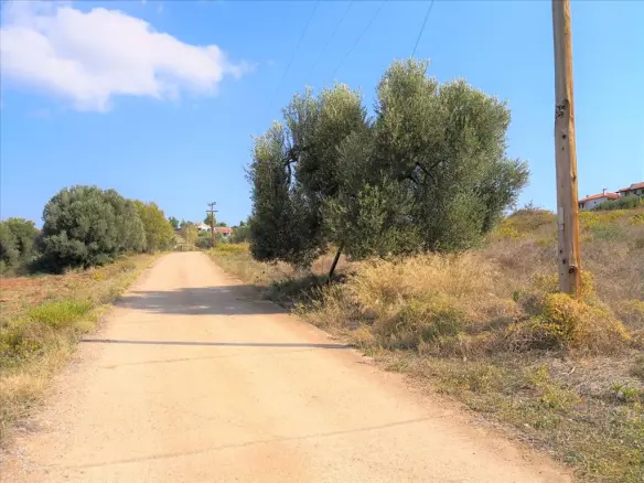 Land In Poligiros, Greece