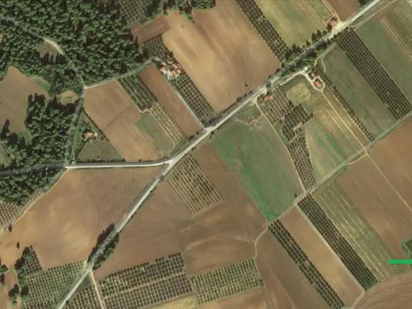 Land In Kassandra, Greece