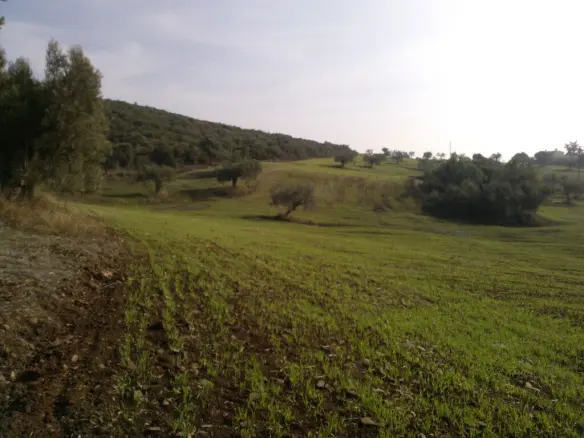 Land In Poligiros, Greece