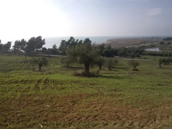 Land In Poligiros, Greece