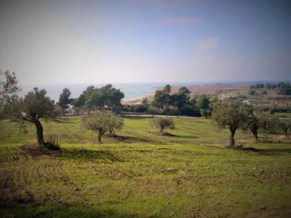 Land In Poligiros, Greece