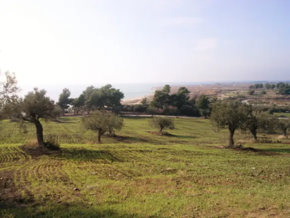Land In Poligiros, Greece
