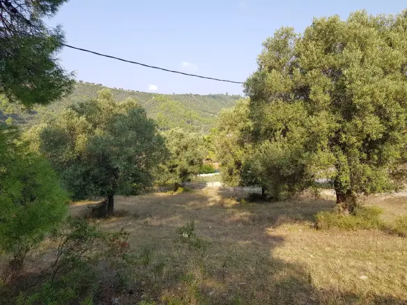 Land In Kassandra, Greece