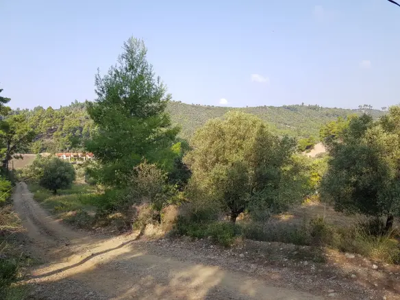 Land In Kassandra, Greece