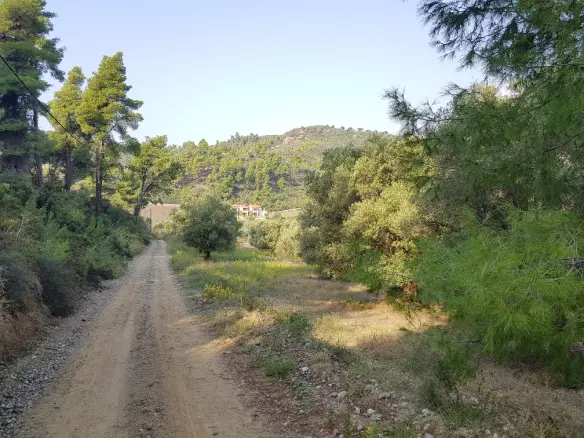 Land In Kassandra, Greece