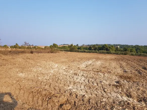 Land In Kassandra, Greece