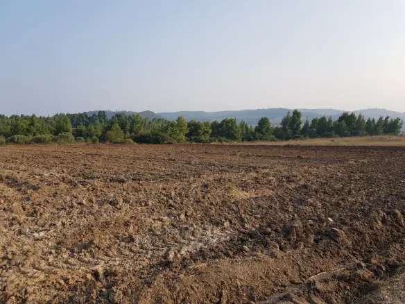 Land In Kassandra, Greece