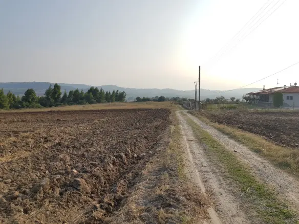 Land In Kassandra, Greece