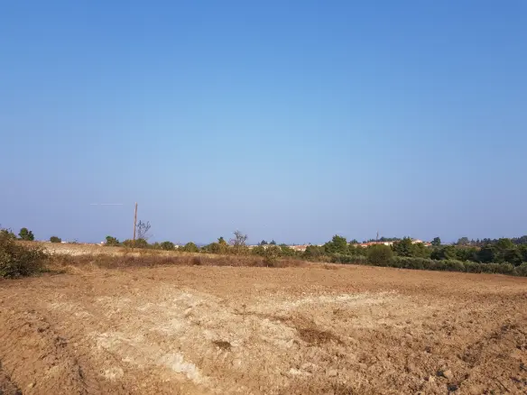 Land In Kassandra, Greece