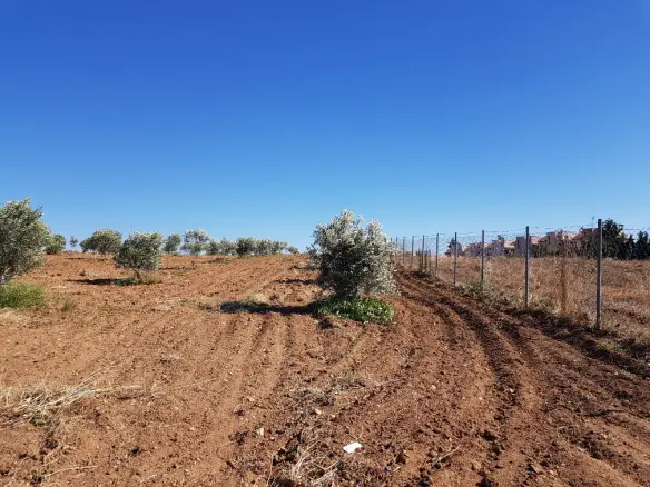 Land In Nea Propontida, Greece