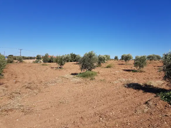 Land In Nea Propontida, Greece