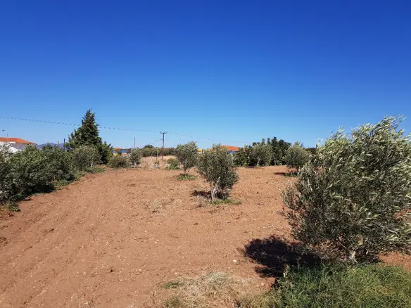 Land In Nea Propontida, Greece