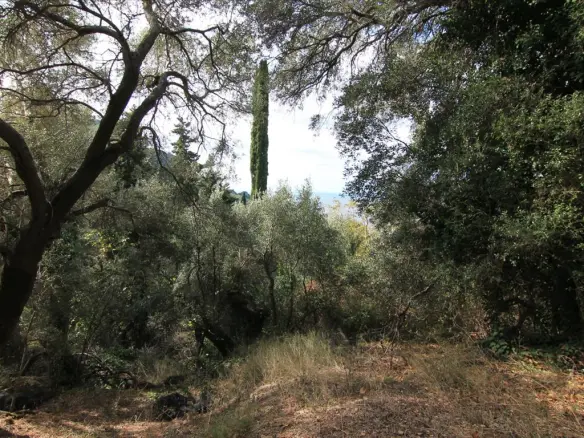 Land In Corfu, Greece
