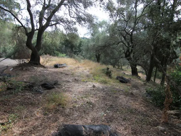 Land In Corfu, Greece