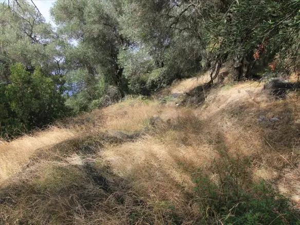 Land In Corfu, Greece