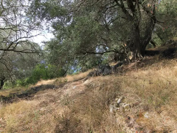 Land In Corfu, Greece