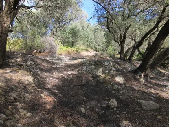 Land In Corfu, Greece