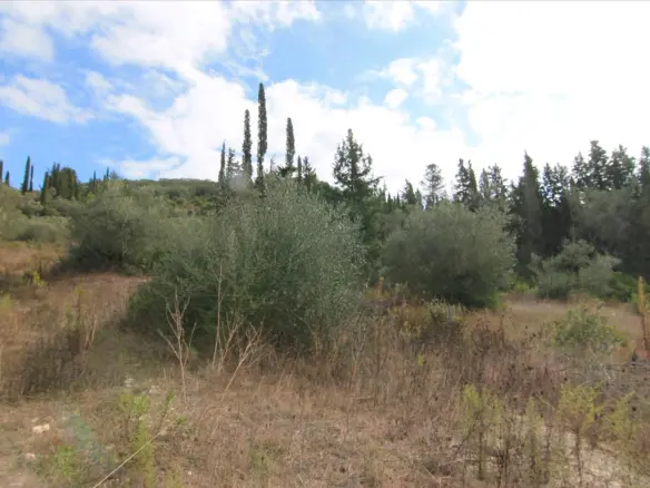 Land In Corfu, Greece