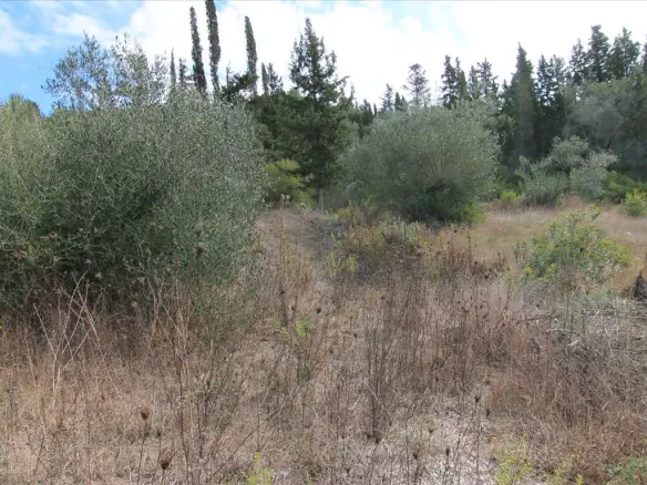 Land In Corfu, Greece