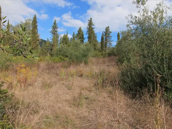 Land In Corfu, Greece