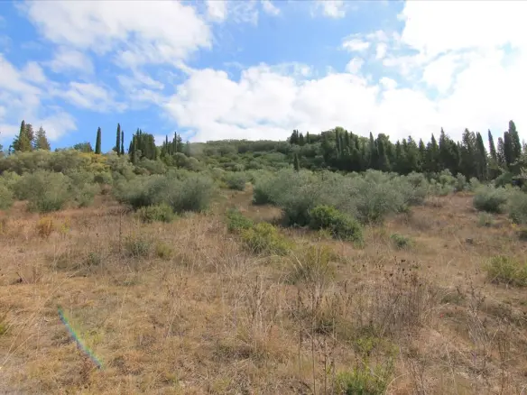 Land In Corfu, Greece