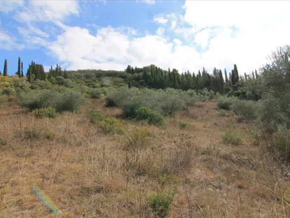Land In Corfu, Greece