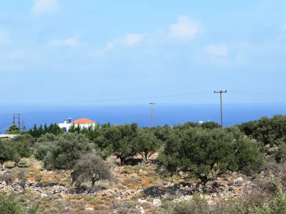 Land In Vamos, Greece