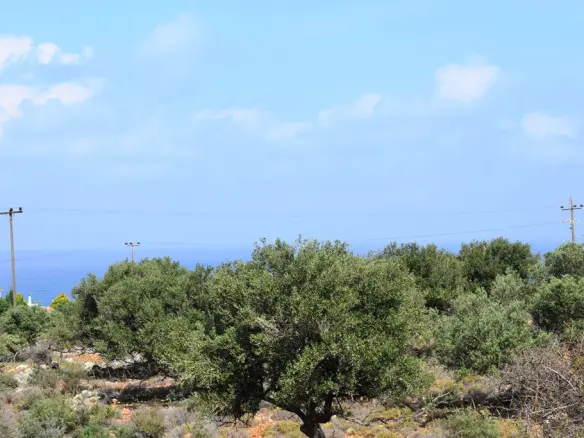 Land In Vamos, Greece