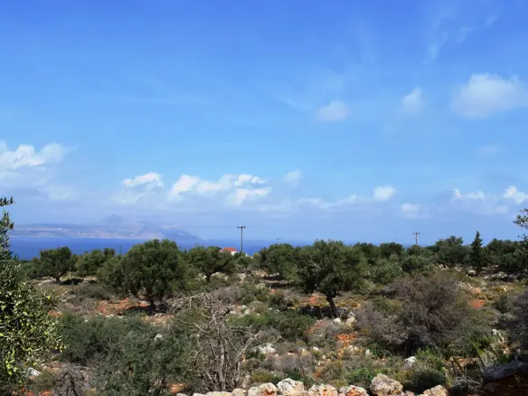 Land In Vamos, Greece