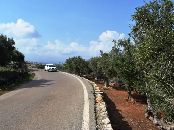 Land In Vamos, Greece