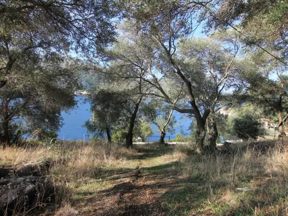 Land In Corfu, Greece