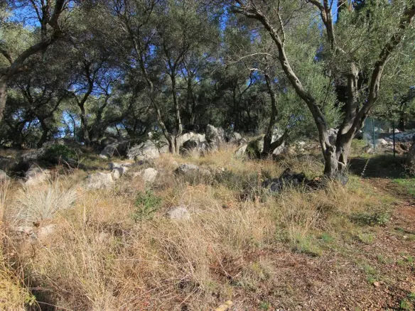 Land In Corfu, Greece